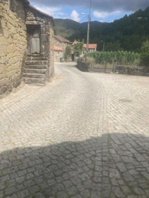Limpeza dos principais arruamentos da Freguesia de Covas do barroso 