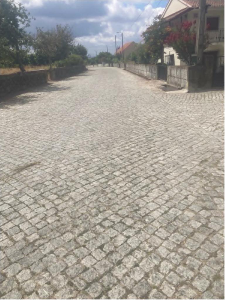 Avenida Principal 