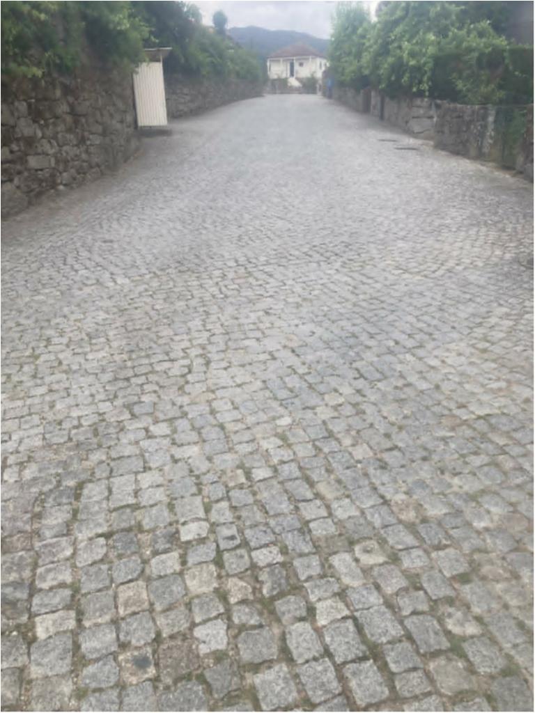 Rua Ac&uacute;rcio Am&acirc;ndio de Castro 