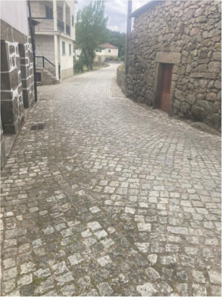 Rua Ac&uacute;rcio Am&acirc;ndio de Castro 